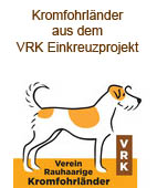 Einkreuzprojekt des VRK